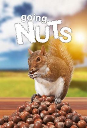 Going Nuts: Tales from the Squirrel World
