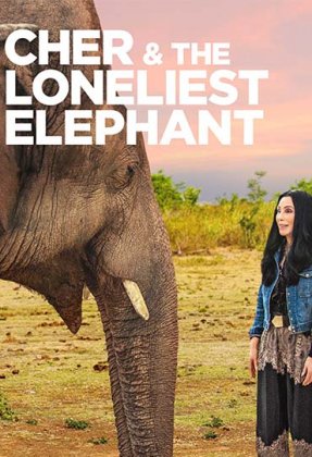 Cher and the Loneliest Elephant
