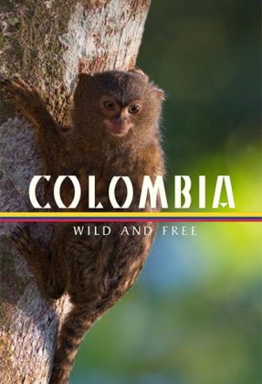 Colombia - Wild and Free